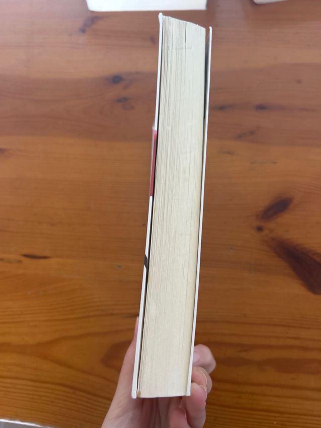 Las cosas que no nos dijimos (Spanish Edition)