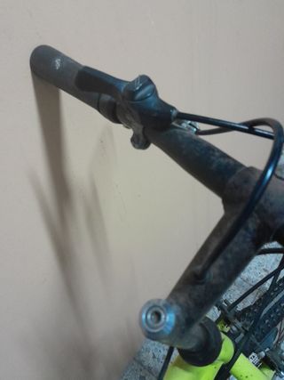 Bicicleta adultos