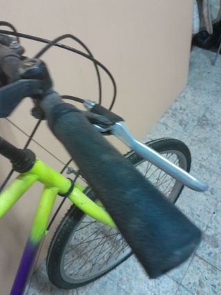 Bicicleta adultos