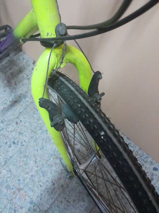 Bicicleta adultos