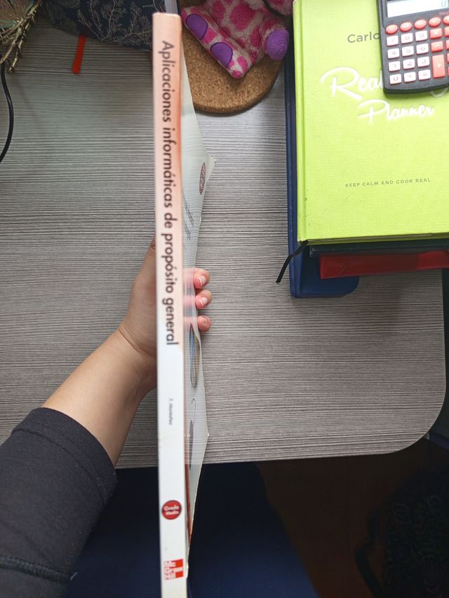 APLICACIONES INFORMATICAS DE PROPOSITO GENERAL GM