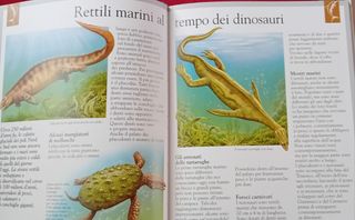 Dinosauri e animali scomparsi