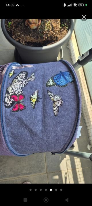 Lote completo Bugaboo bee5