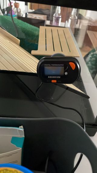 Pescera con accesorios