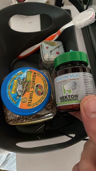 Pescera con accesorios