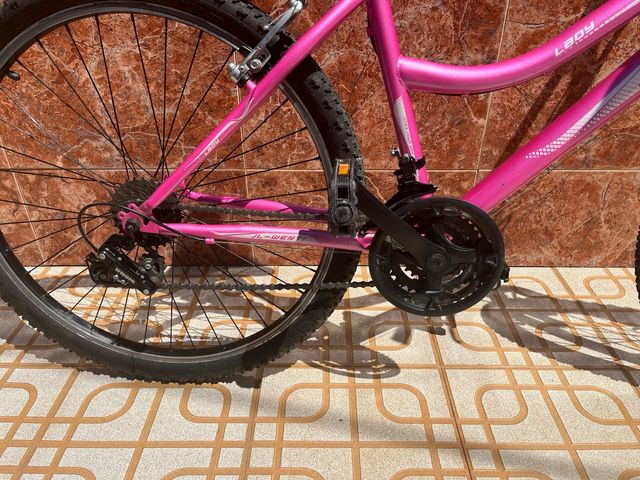 Bicicleta jl-wenti rosa