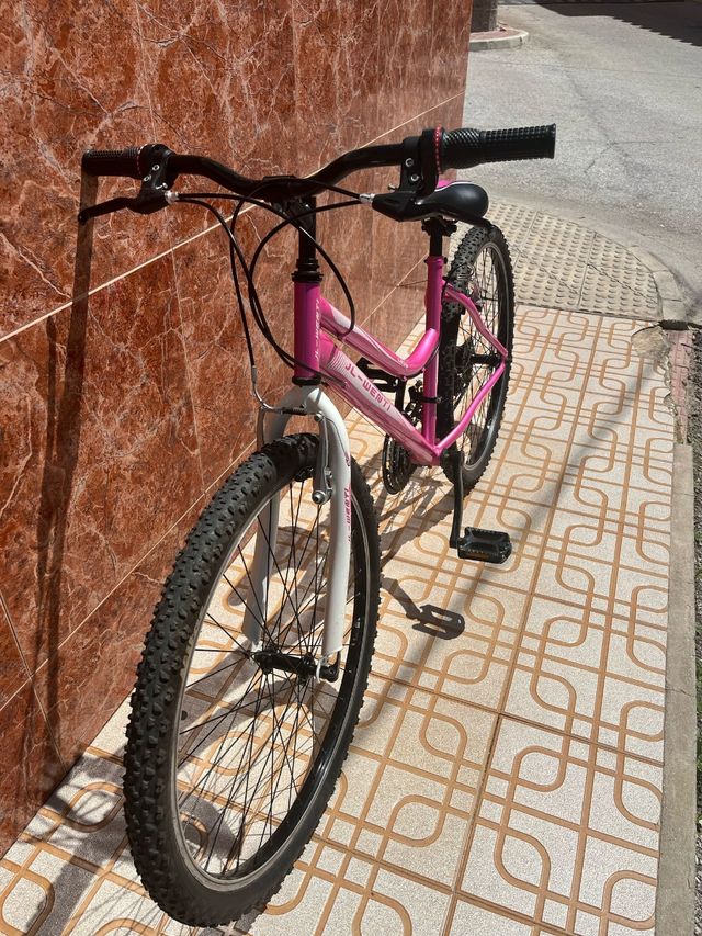 Bicicleta jl-wenti rosa