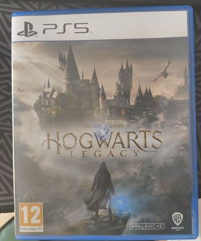 Hogwarts Legacy Ps5