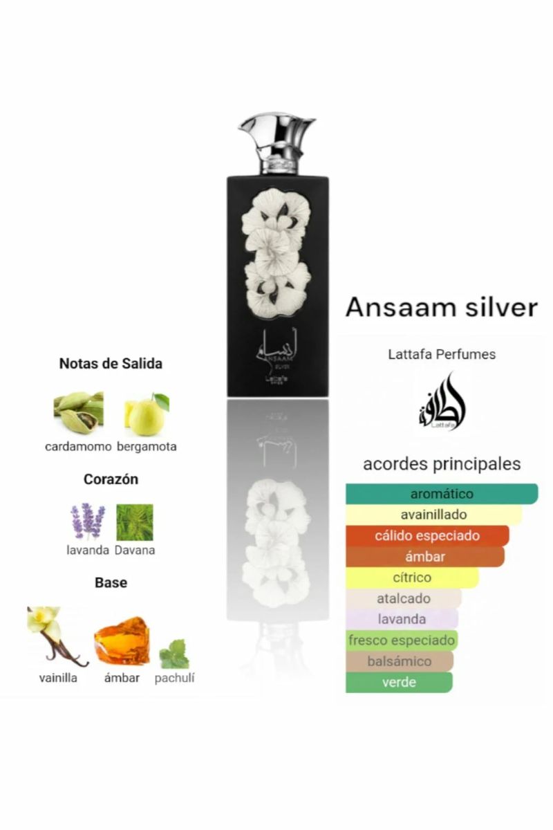 ANSAAM SILVER