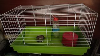 Jaula para cobaya