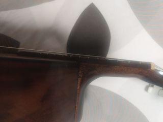 Cambio-vendo Band. Telesforo Julve por mandolina