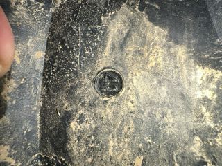 Anfibio quanticlo rosa