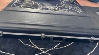 Guitarra electrica y caja de transporte