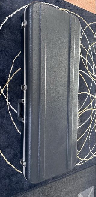 Guitarra electrica y caja de transporte