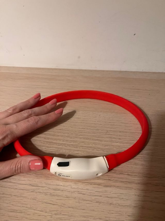 Collar perro luminoso