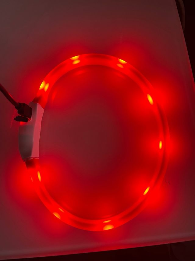 Collar perro luminoso