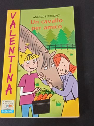 Un cavallo per amico