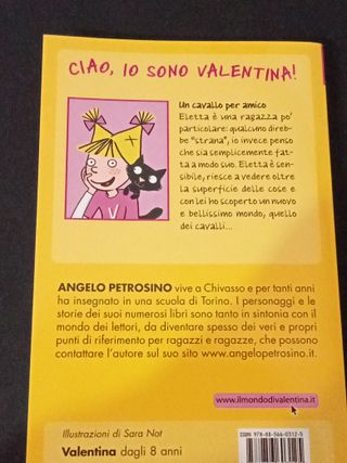 Un cavallo per amico