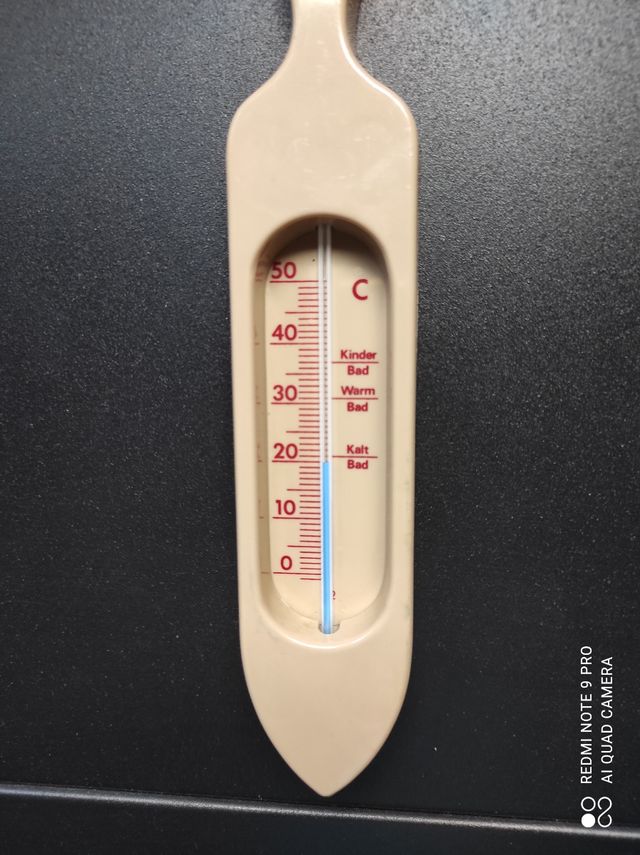 Termómetro bañera bebe