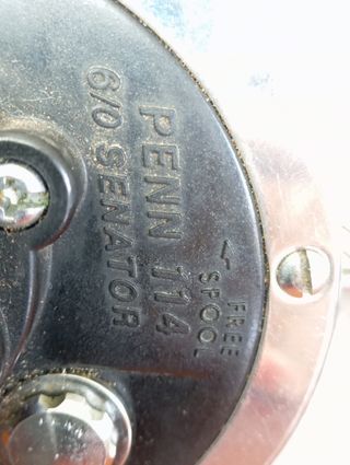 Carrete Penn Senator 114