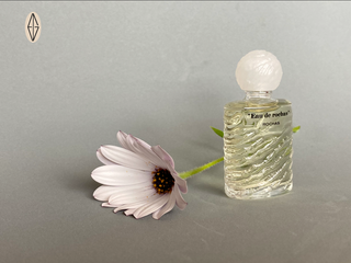Miniatura EAU DE ROCHAS, de Rochas