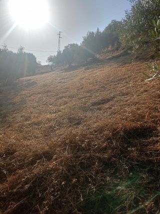 Trabajos de desbroce de parcelas