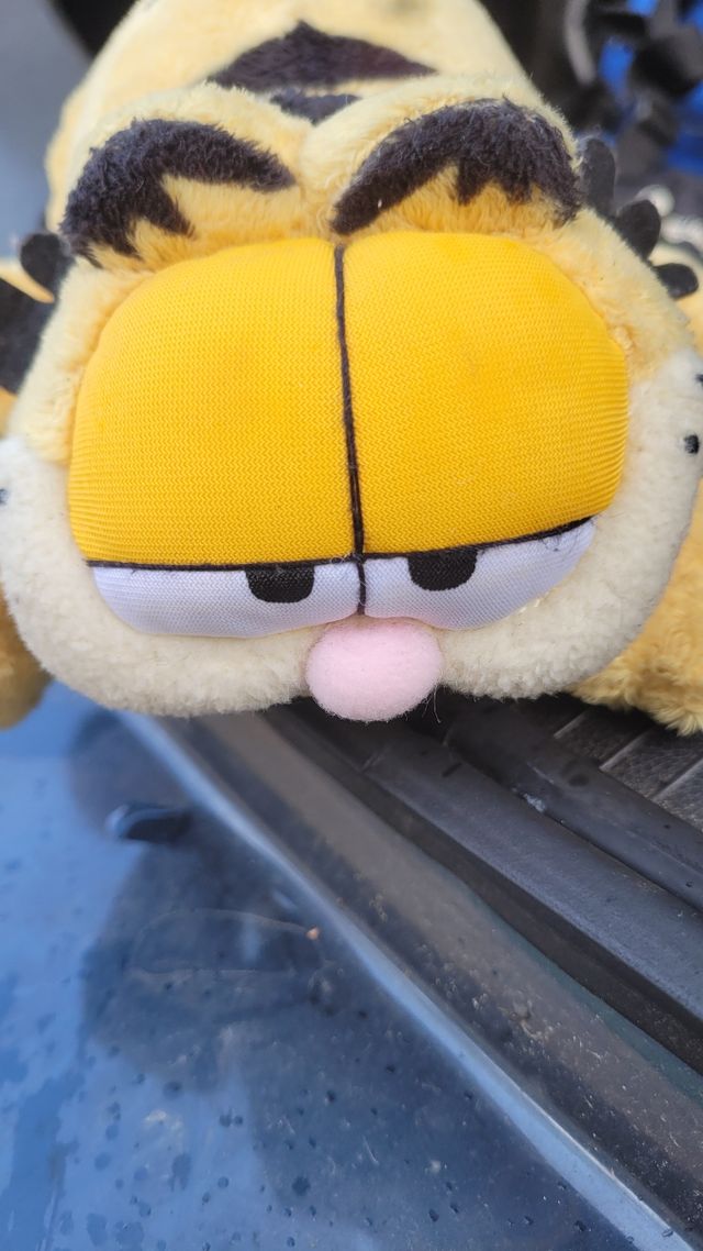 Peluche Garfield