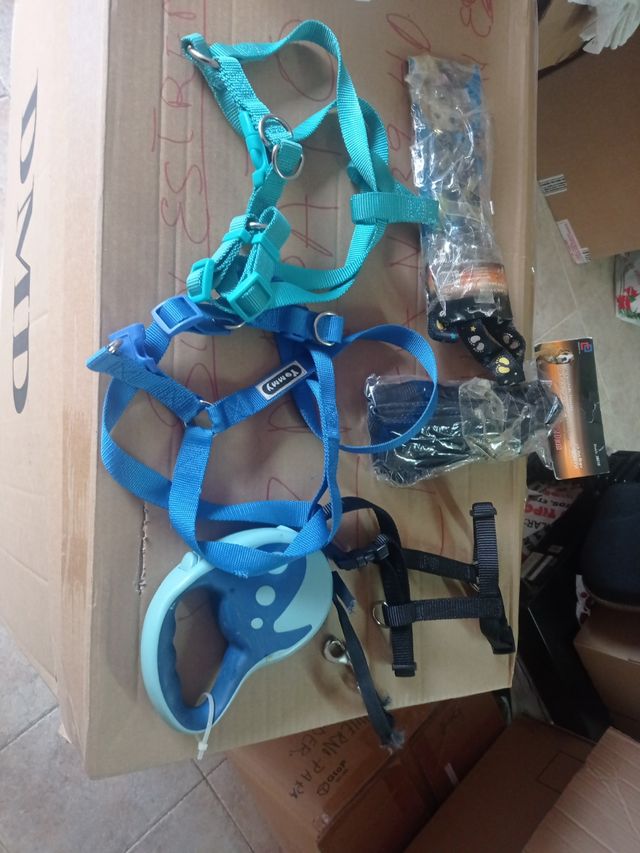 Acné con correa para perros