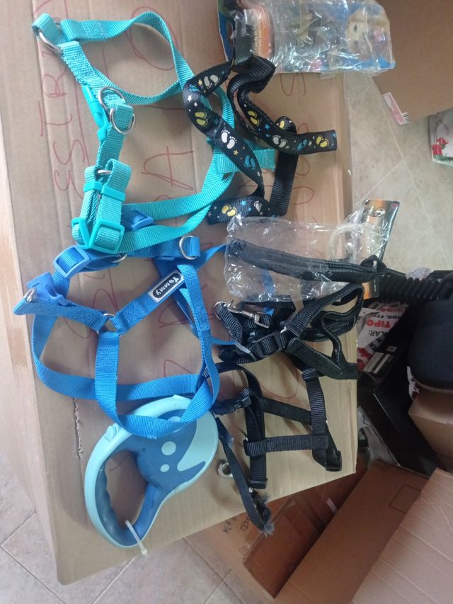 Acné con correa para perros