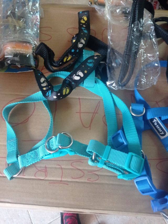 Acné con correa para perros