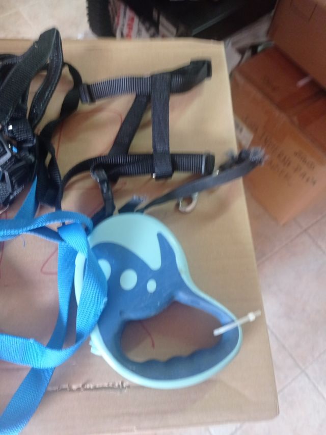 Acné con correa para perros