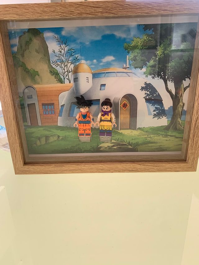 Dipinto da vetrina Lego Goku Chichi Dragon Ball