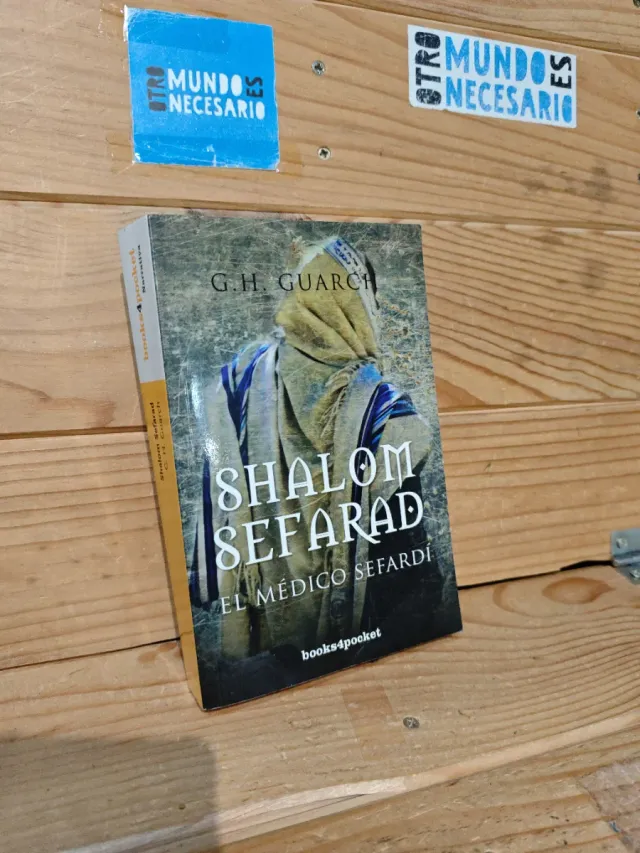 Novela Histórica VI