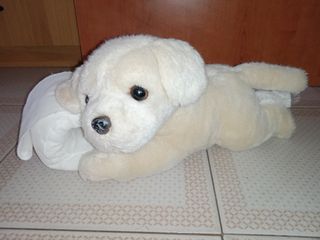 Peluche 