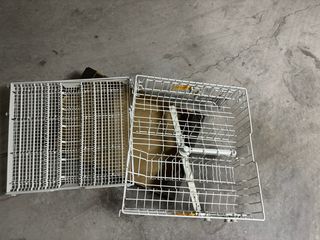 Cestas lavavajilla Miele