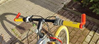 Bicicleta de montaña 