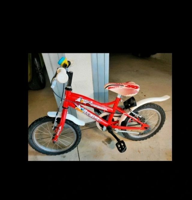 Bicicletta 16 pollici