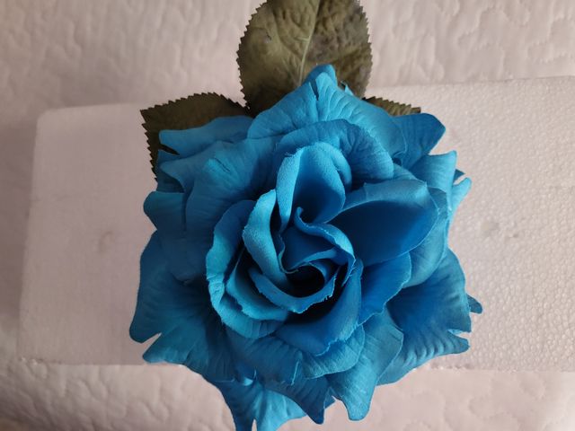 Lote accesorios Flamenca