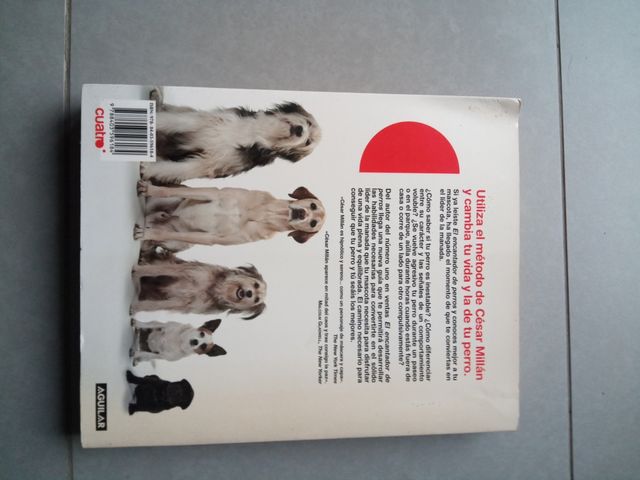 El líder de la manada: Adiestra a tu perro. Renueva tu vida (OTROS GENERALES AGUILAR.) (Spanish Edition)