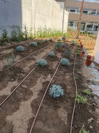Mantenimientos de jardines y piscinas