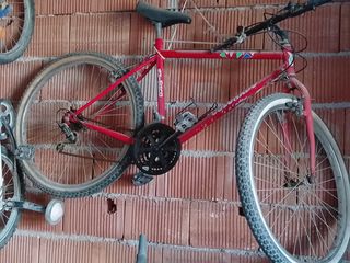 Bicicleta adulto 