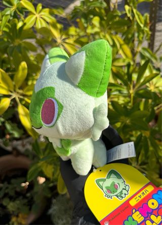 Peluche Pokémon Center Dolls Sprigatito