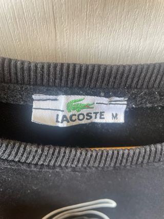 chandal lacoste