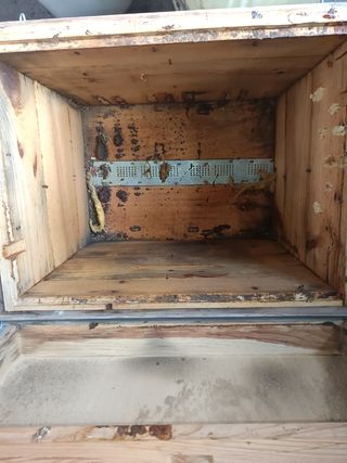 Colmenas layen doce cuadros