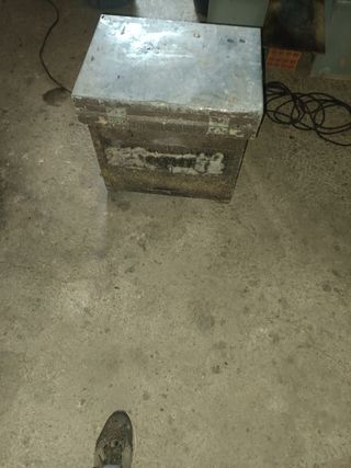 Colmenas layen doce cuadros