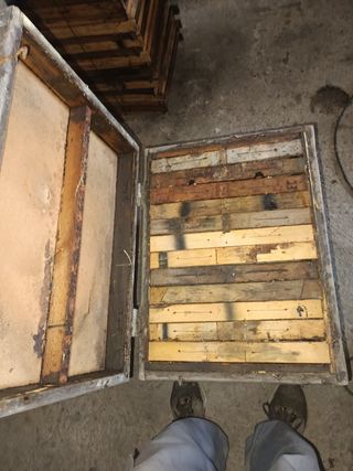 Colmenas layen doce cuadros