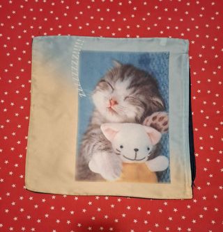 Federa in raso 40×40