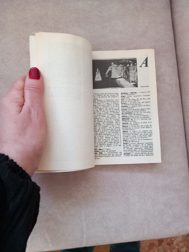 Minilarousse ilustrado.