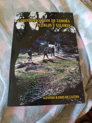 Caminos Jacobeos de Zamora