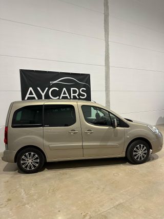 Citroen Berlingo 2009